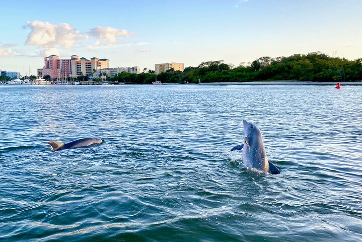 Dolphin Tiki Cruise around Fort Myers Beach - Photo 1 of 17